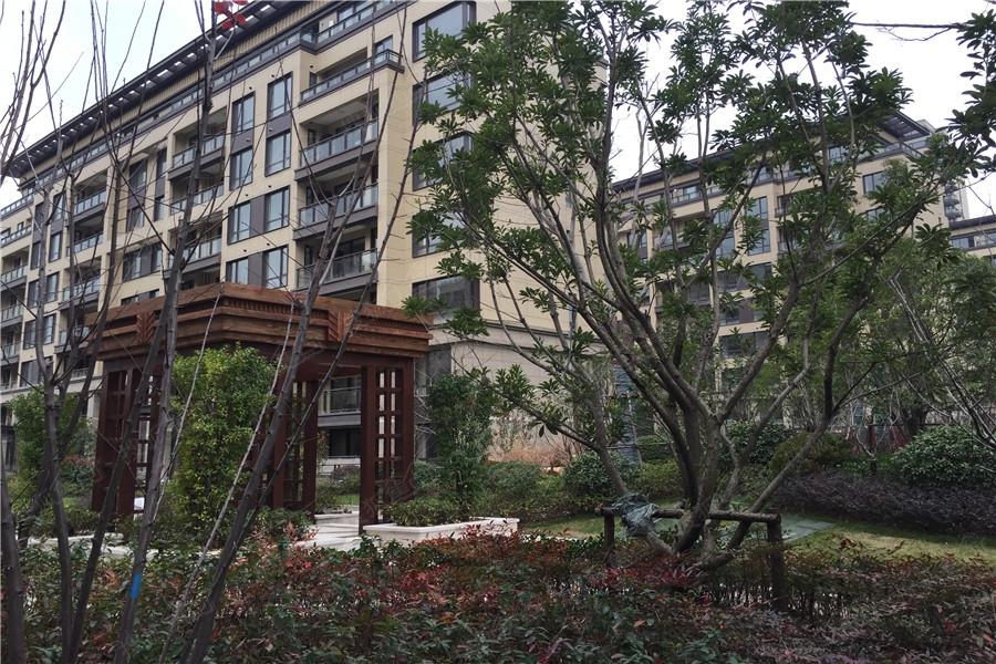 陸家嘴錦繡前城梧桐公寓